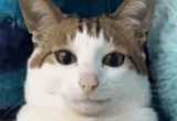 File:Bao.png