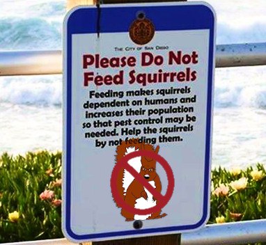 File:Dont feed the squirrels.jpg
