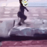 File:Acrobatic Nigger Baby gif.gif