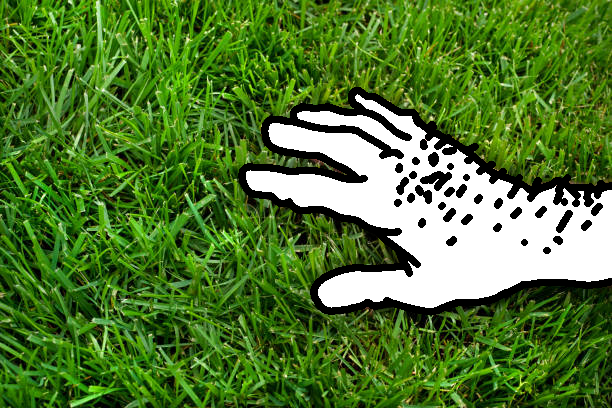 File:Grassyass.png