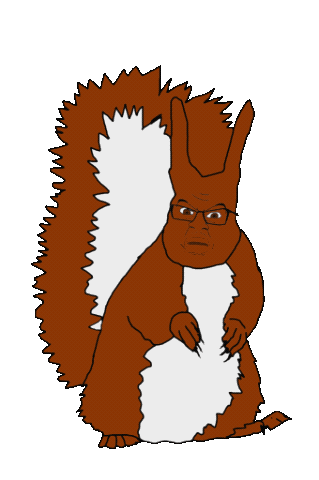 File:1641154271672.gif