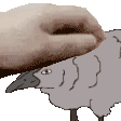 Petting!