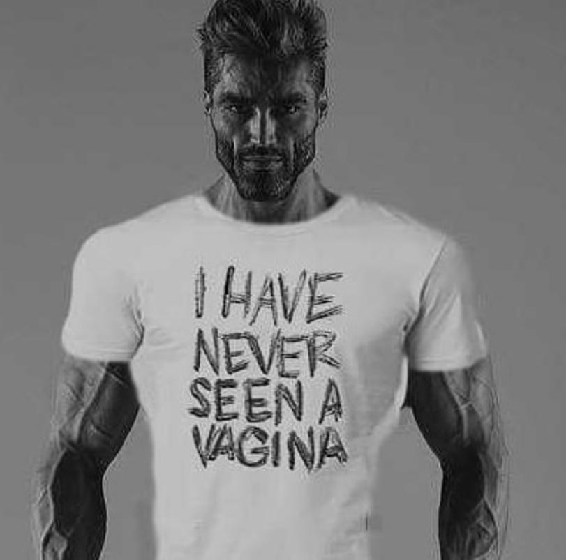 File:Gigachad I HAVE NEVER SEEN A VAGINA.jpg