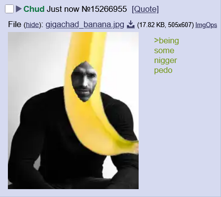 File:Dude stop it mane.png