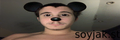 Thumbnail for version as of 04:07, 30 September 2026