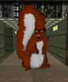 Squirreljak