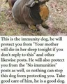 Immunity Poog