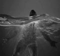 Thumbnail for version as of 18:54, 30 August 2026