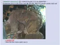 the absolute fucking state