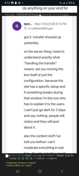 File:Fakesaltleaks.jpg