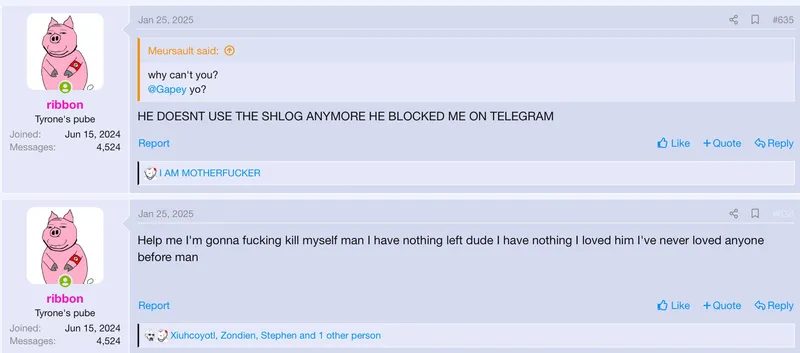 File:Average soyjak blog post 4.jpg