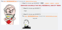 /caca/'s near 2nd win