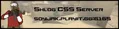 Advertisement for old server