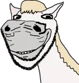 As an Andalusian