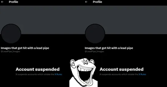 All @LeadPipe_Images account were suspended. mission complete, men! Return to HQ and await further orders!