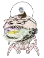 April 5, 2025