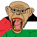 Monkeyjak supporting Palestine.