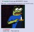 frog didnt like this