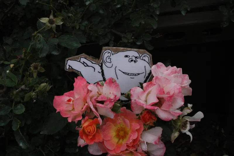 File:Impjak Resolve8.jpg