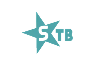 Shemmy Logo June 2025.png