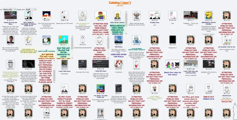 File:Soy - roblox.JPG