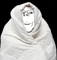 6/3