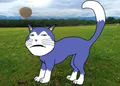 Meow (Uploaded by Jimbo)