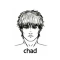 Chad: the peak of male attractiveness. Etymology unknown. Hypotheses are: Etymology 1: Contraction of Frogchad Etymology 2: The name of the country "Chad". The term is named as such to an obsession with Chadian Bibisi. Looksmaxxers strive to goon to be like him. Not to be confused with chud