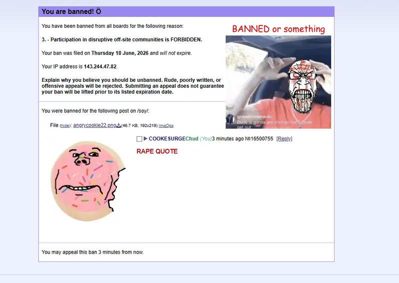 File:Cookieleak.png