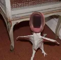 fingerboy spotted in real life?? Real or fake?