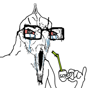 266964 - soybooru.png