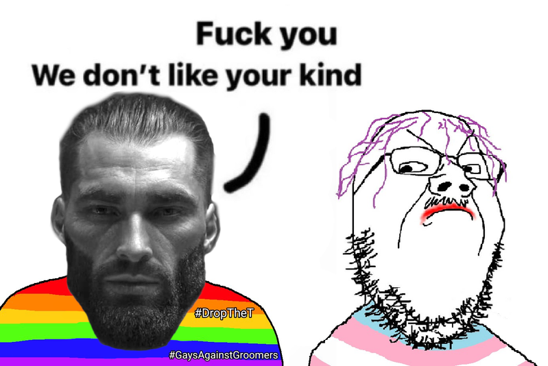 File:Gay againt trannie.png