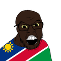 Average Namibian