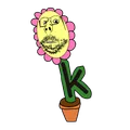 Flower used on her sweater.