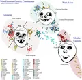 Genetic map