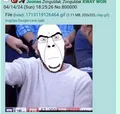 Thumbnail for version as of 10:34, 20 April 2024