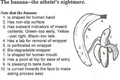 Thumbnail for version as of 16:02, 2 February 2024