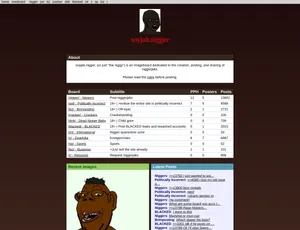 Soyjaknigger capture.png