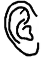 Ear template.