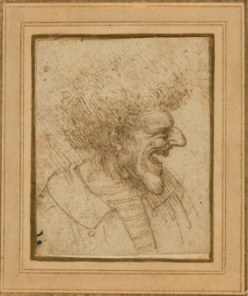 File:Leonardo-Bushy-Hair-.jpg