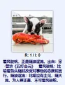 Thumbnail for version as of 21:56, 20 July 2025
