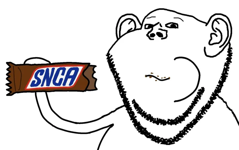 File:Snca bar.jpg