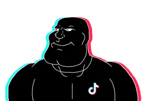 TiktokARYAN.png