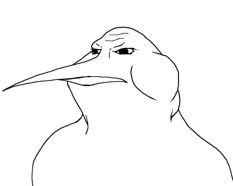 File:Kiwimutt mexi.png