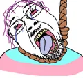 Aliased version of the troonjak