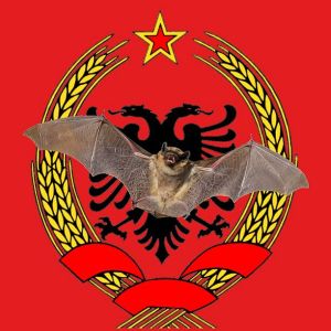 Hyperbat.jpg
