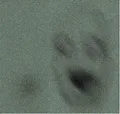 Thumbnail for version as of 21:24, 19 September 2023