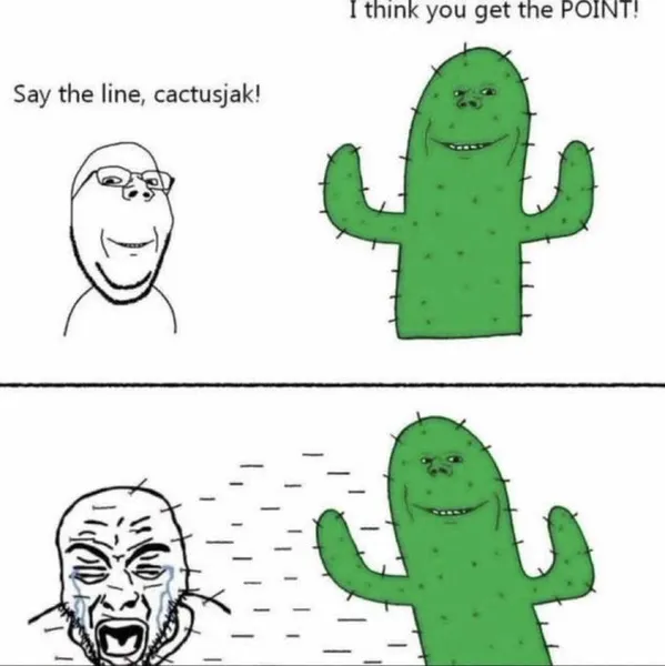 File:IThinkYouGetThePOINT.jpeg