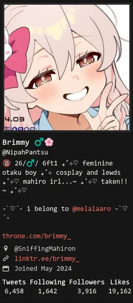 File:Brimmy profile.png