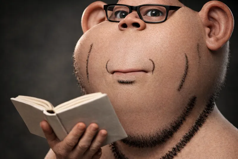 File:IRL Impjak reading.png